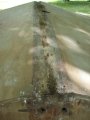 046-DSC03135.JPG.small.jpeg