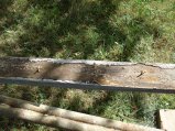 050-DSC03143.JPG.small.jpeg