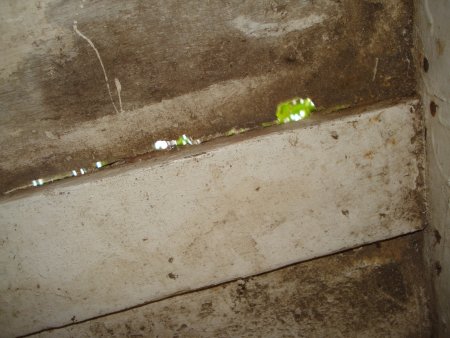 061-DSC03171.JPG.medium.jpeg