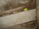 061-DSC03171.JPG.small.jpeg