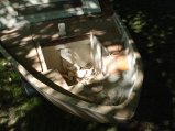 016-DSC03623.JPG.small.jpeg