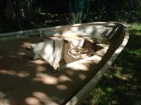 017-DSC03624.JPG.small.jpeg