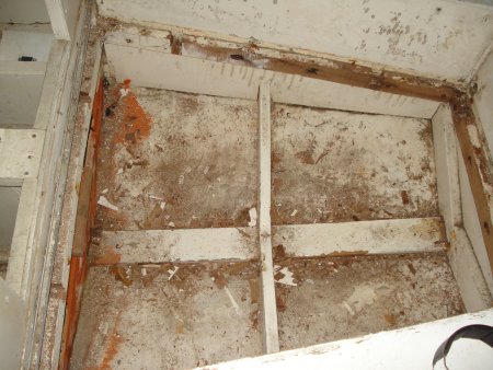 055-DSC03700.JPG.medium.jpeg
