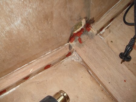 082-DSC03767.JPG.medium.jpeg